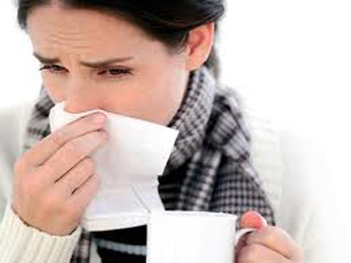 prevenir y combatir la gripe con alimentación natural