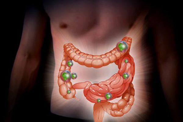 Por qué son necesarias las bacterias en el colon