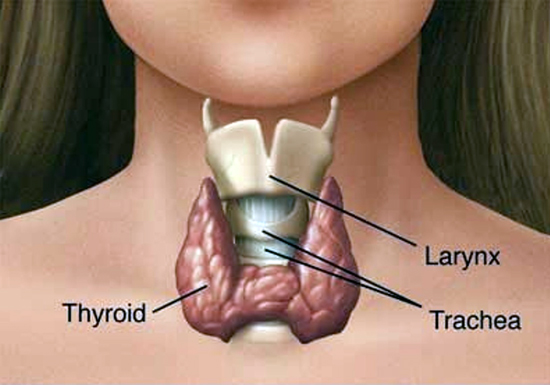 Factores que alteran la tiroides