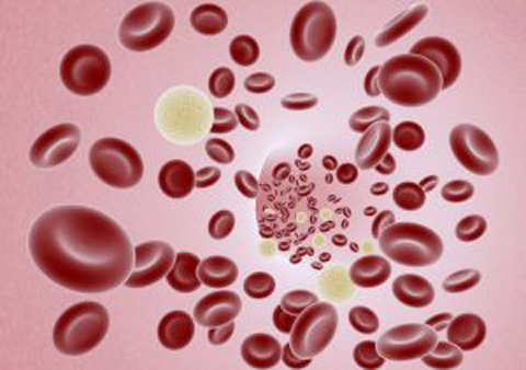 qué causa la anemia